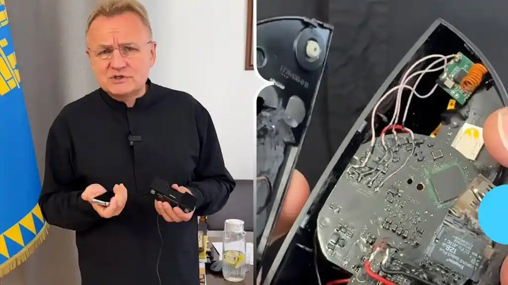 belediye başkanı ofisinde bulunan böcek